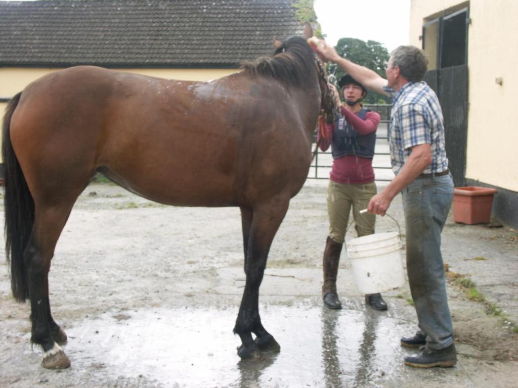 Cahergal Farmhouse B&B Newmarket-on-Fergus Luaran gambar